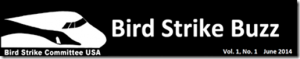 2managing raptors at the airport